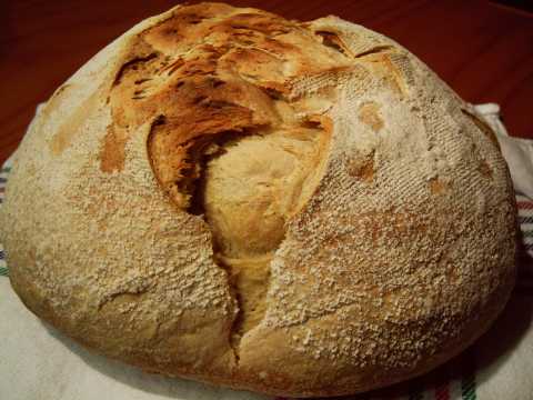 Cecipereza artisan homemade bread without yeast