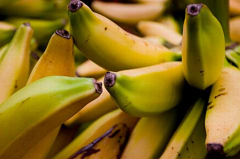 Banana Diet /></p> <p style=