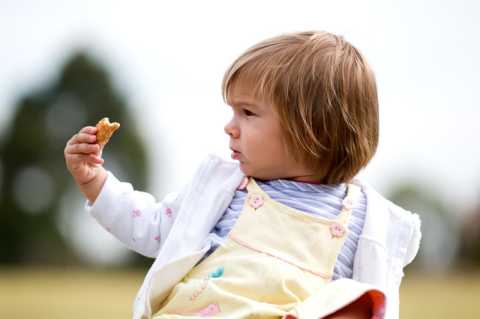 A child eating a biscuit