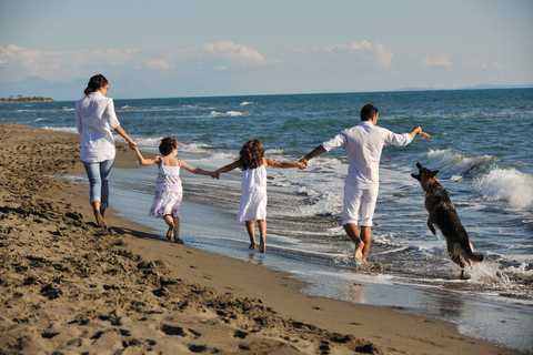 Mediterranean Diet makes people happier
