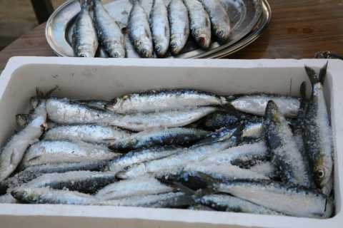 Raw sardines