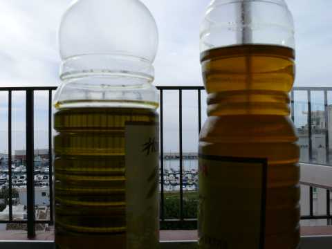 Virgin olive oil don't have to transparent