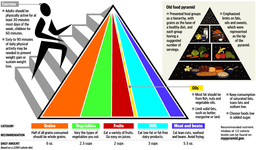 My Pyramid and the previous Food Guide Pyramid