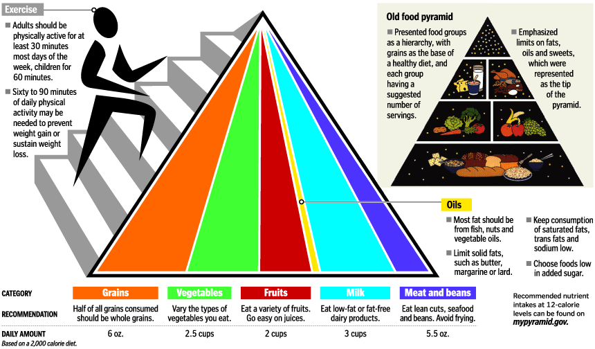 Usda Food Nutrition Chart